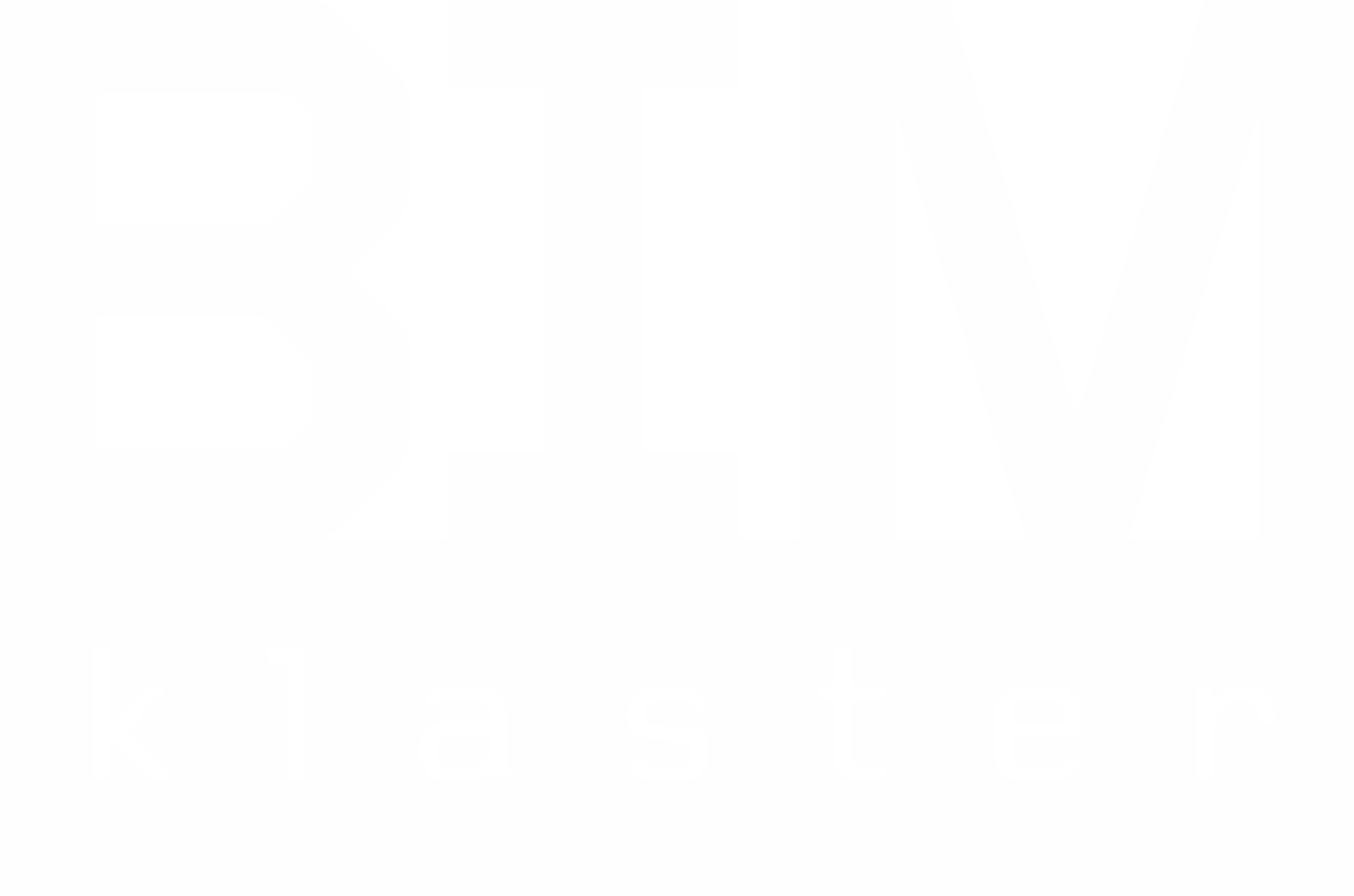 BIM Klaster
